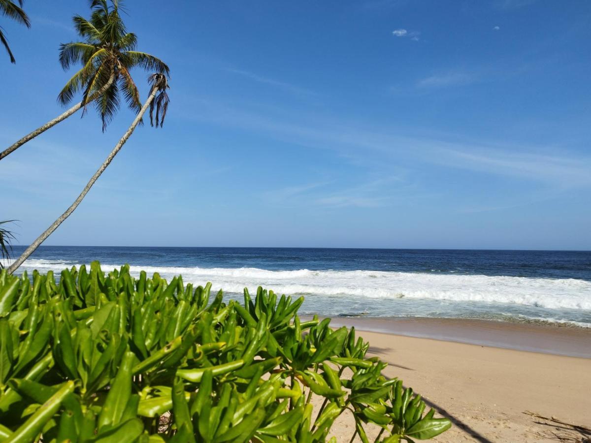 Apartmán Tropical Garden Tangalle Exteriér fotografie