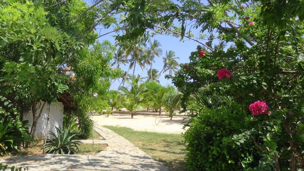 Apartmán Tropical Garden Tangalle Pokoj fotografie